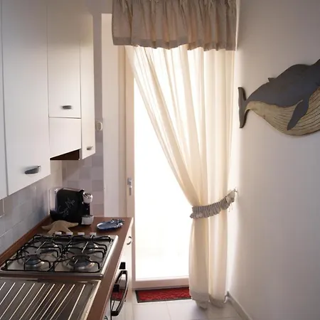 Il Delfino House *